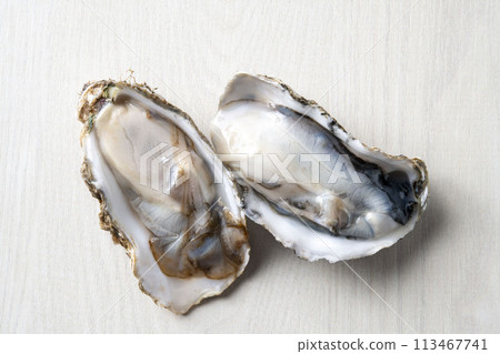Fresh and tasty raw oysters Fresh and tasty raw oysters 113467741