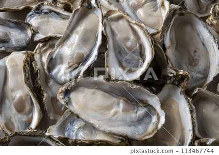 新鮮和美味的生牡蠣 113467744
