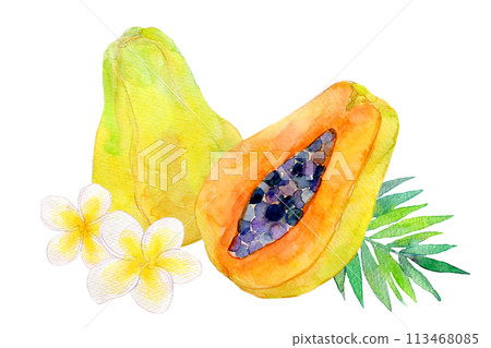 木瓜圖水彩插圖 木瓜圖水彩插圖 113468085