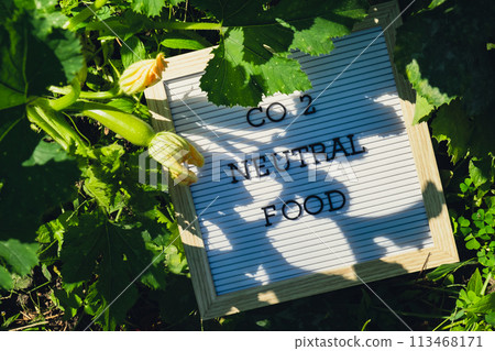 Letter board with text CO2 NEUTRAL FOOD on background of garden bed with green zucchini. Organic farming, produce local vegetables concept. Supporting local farmers 113468171