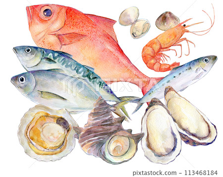 Seafood set illustration watercolor illustration 113468184