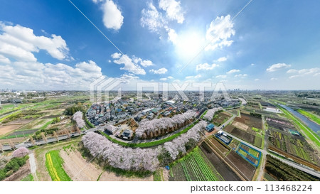 「埼玉縣」用無人機拍攝的春天見沼稻田、櫻花走廊 「埼玉縣」用無人機拍攝的春天見沼稻田、櫻花走廊 113468224