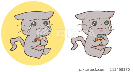 Black cat crying with a handkerchief Black cat crying with a handkerchief 113468370