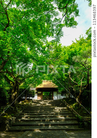 初夏的安樂寺大門 113468397