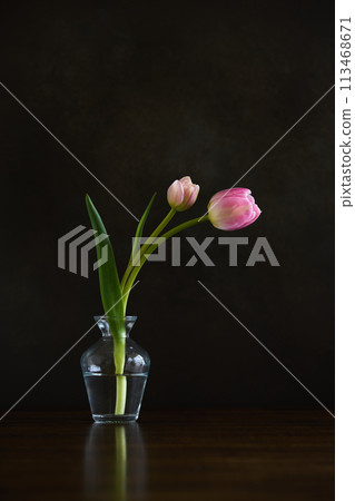 生活在花瓶裡的鬱金香 113468671