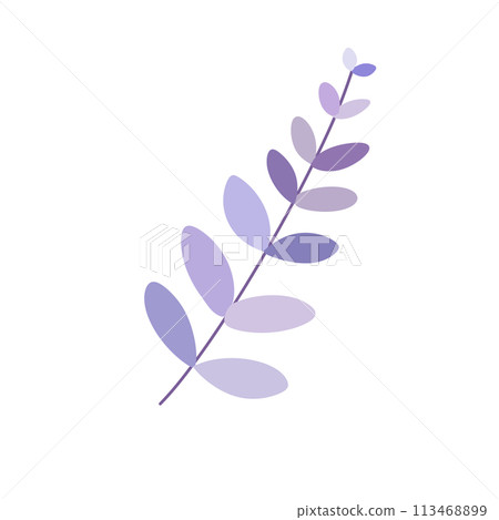 Purple leaf Purple leaf 113468899