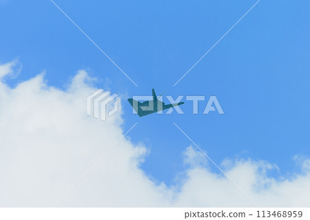 美國空軍 F-117 夜鷹飛行中 113468959