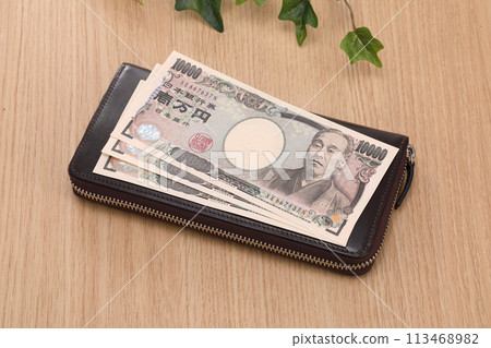 Banknotes and wallets Banknotes and wallets 113468982