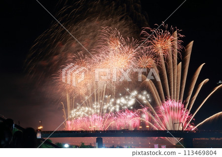 夏季傳統煙火大會（岐阜縣岐阜長良川煙火大會） 113469804