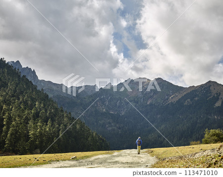 rear view of lone asian hiker walking on dirt road 113471010