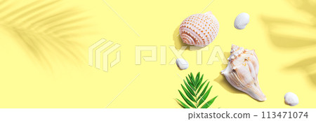Summer concept with seashells and a palm leaf Summer concept with seashells and a palm leaf 113471074