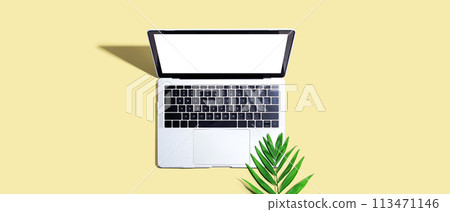 Laptop computer with tropical leaf 113471146