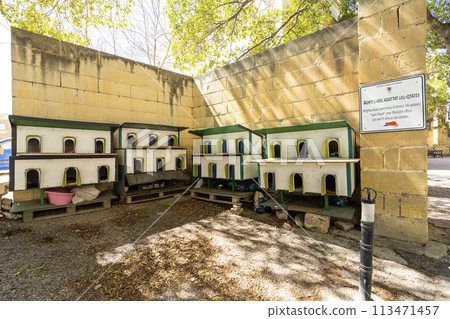 a shelter for cats in Valletta, Malta 113471457