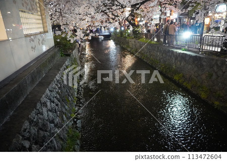 高瀨川夜晚櫻花盛開 高瀨川夜晚櫻花盛開 113472604