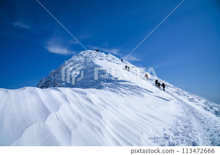 Spectacular view of Mt. Tanigawa near the summit in winter (Gunma Prefectural Border Ridge Trail) Spectacular view of Mt. Tanigawa near the summit in winter (Gunma Prefectural Border Ridge Trail) 113472666