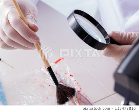 The criminologist police chemist looking at crime evidence 113472816
