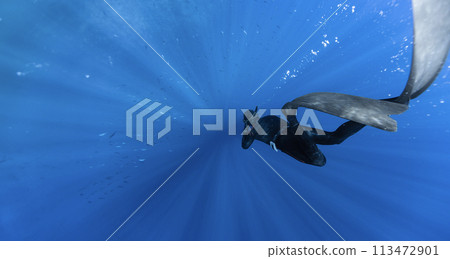 Freediver Swimming in Deep Sea With Sunrays. Freediver Swimming in Deep Sea With Sunrays. 113472901