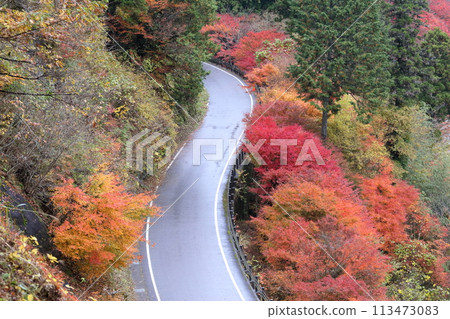 A curved mountain path during autumn foliage A curved mountain path during autumn foliage 113473083