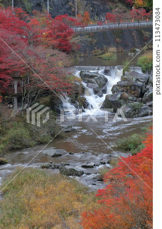 豬淵的紅葉(愛知縣豐田市大平公園) 豬淵的紅葉(愛知縣豐田市大平公園) 113473084