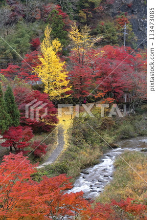 色彩斑斕的紅葉（愛知縣豐田市大平公園） 113473085