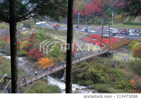 風吊橋（愛知縣豐田市大平公園） 113473086
