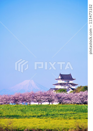 千葉縣：春天的櫻花、關宿城、富士山 113473182