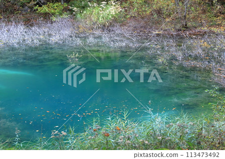 五色沼(福島縣北鹽原村里磐梯青沼、五色沼)分佈在磐梯山腳下 五色沼(福島縣北鹽原村里磐梯青沼、五色沼)分佈在磐梯山腳下 113473492