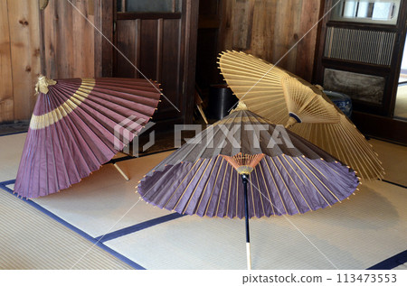 Umbrella 113473553