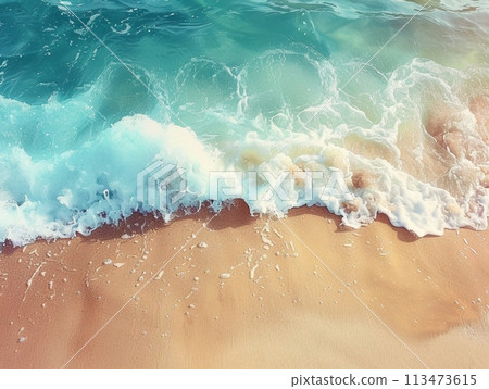 Beach Waves and Sandy Shore Beach Waves and Sandy Shore 113473615