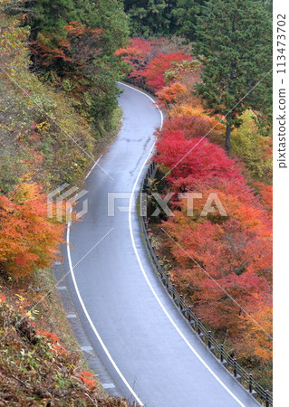 A curved mountain path during autumn foliage A curved mountain path during autumn foliage 113473702