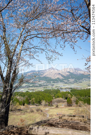 Spring blue sky, Minamiaso Torinokozuka Park 113474564