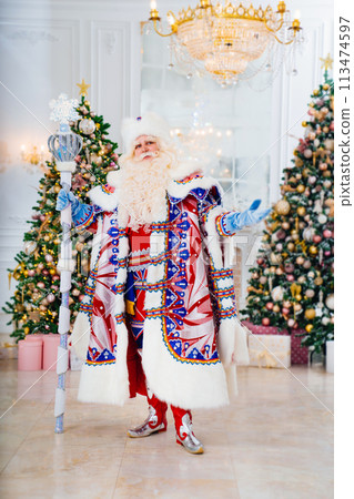 Father Frost in traditional costume with stick staff. room with christmas trees  113474597