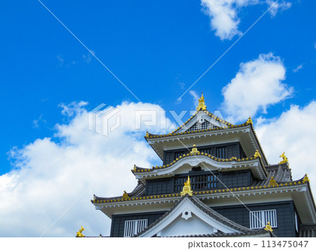 岡山城高聳的塔樓 113475047