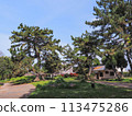 兵庫縣加古川市覺林寺覺林寺公園櫻花 113475286