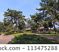 兵庫縣加古川市覺林寺覺林寺公園櫻花 113475288