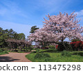 兵庫縣加古川市覺林寺覺林寺公園櫻花 113475298