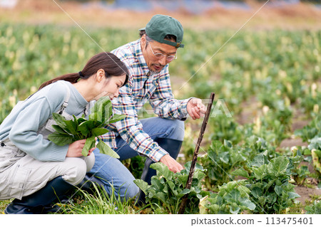 一位在農場工作的年輕婦女和一位經驗豐富的農民 113475401