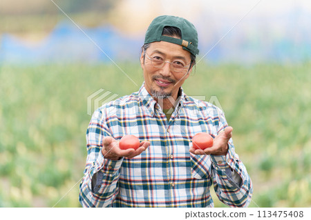 A middle-aged man smiling while holding harvested tomatoes 113475408