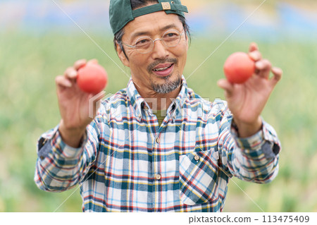 一名中年男子手裡拿著一個收穫的西紅柿,微笑著 一名中年男子手裡拿著一個收穫的西紅柿,微笑著 113475409