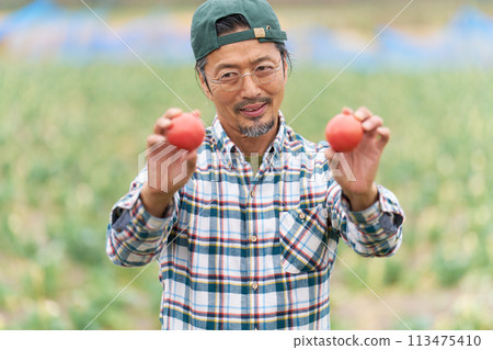 A middle-aged man looking at his harvested tomatoes 113475410