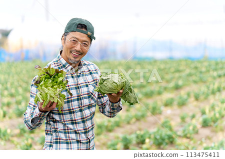 A veteran farmer smiles as he holds his crops in his hands 113475411