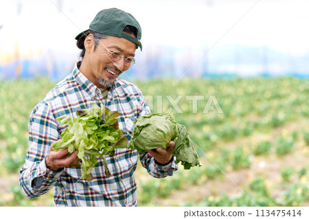 A veteran farmer smiles as he holds his crops in his hands 113475414
