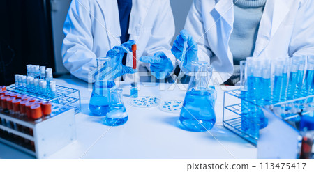 Two Scientist mixing chemical liquids in the chemistry lab. Researcher working in the chemical laboratory Two Scientist mixing chemical liquids in the chemistry lab. Researcher working in the chemical laboratory 113475417
