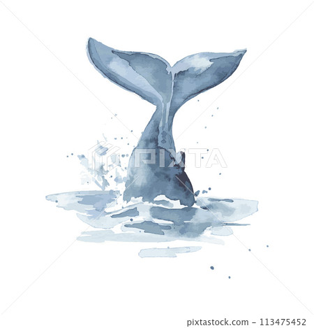 Hand drawn watercolor sketch, blue whale tail in the water, vector fish dives. 113475452