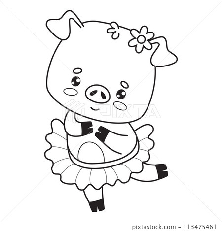 Happy funny pig girl ballerina. Cute outline cartoon animal. Line drawing, coloring book. Vector illustration. Kids collection. Happy funny pig girl ballerina. Cute outline cartoon animal. Line drawing, coloring book. Vector illustration. Kids collection. 113475461