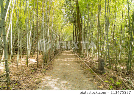 笹西山山麓(岡山縣岡山市) 笹西山山麓(岡山縣岡山市) 113475557