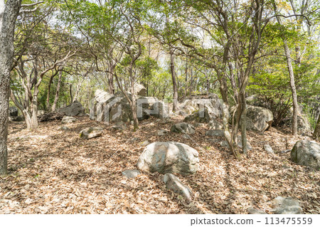 The summit of Mount Sasai (Okayama City, Okayama Prefecture) The summit of Mount Sasai (Okayama City, Okayama Prefecture) 113475559