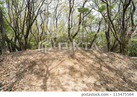 Summit of Mt. Maruyama (Okayama City, Okayama Prefecture) 113475564