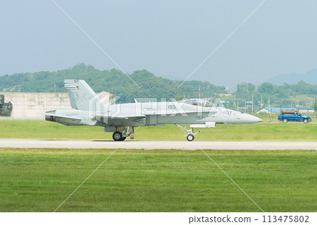 美國海軍 F/A-18C 大黃蜂滑行 113475802