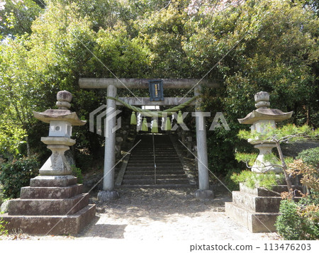 Niiyani-imasu Shrine 113476203
